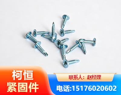 长沙华司钻尾丝