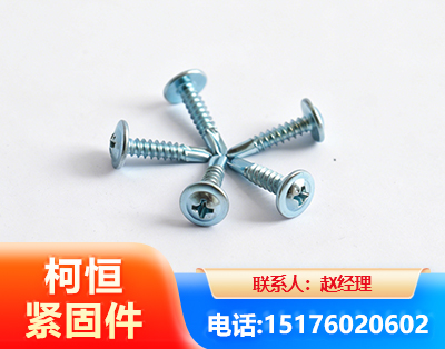长沙华司钻尾丝